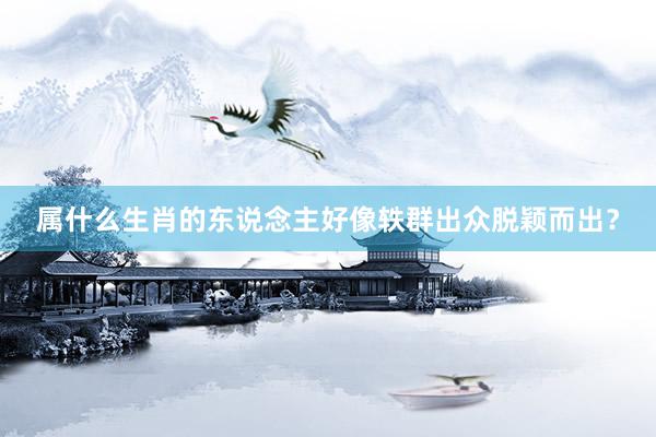 属什么生肖的东说念主好像轶群出众脱颖而出？